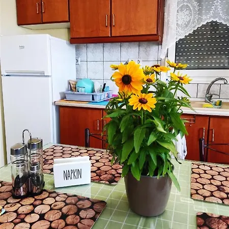 Didda's Apartment